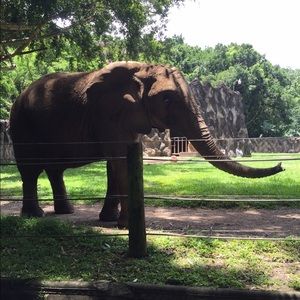 Meet your Posher, Gloriann