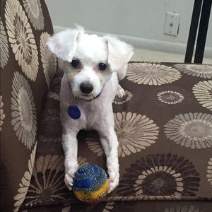 Meet your Posher, Cindy