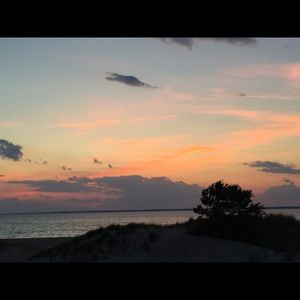 Meet your Posher, Shanice