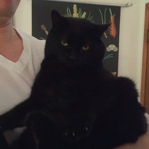 Meet your Posher, Caroline