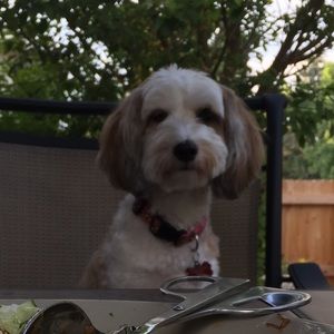 Meet your Posher, Jill