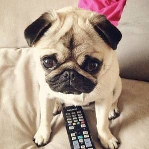 Meet your Posher, Tử