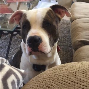 Meet your Posher, Taylor