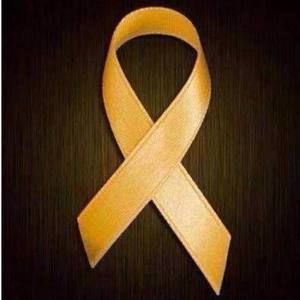 Meet your Posher, Sheila