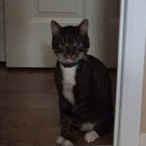 Meet your Posher, Racquel