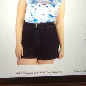 Modcloth It's High Time Shorts in 2x