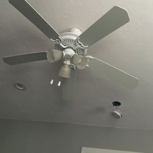 Meet your Posher, Tricia