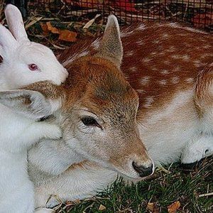 Meet your Posher, Gary m