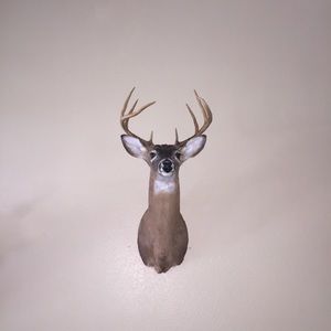 Meet your Posher, Denise