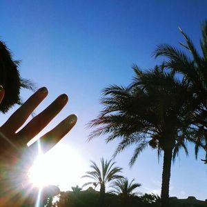 Meet your Posher, Lydia