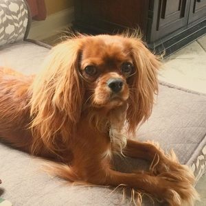 Meet your Posher, Mary