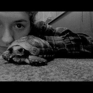 Meet your Posher, Carly