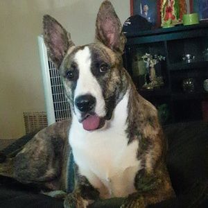 Meet your Posher, Mark