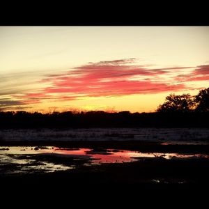 Meet your Posher, Becky