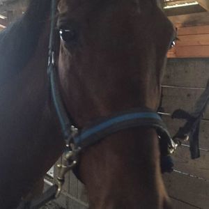 Meet your Posher, Vickie