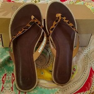 NIB  ALLARIA LEOPARD UGG FLIP FLOPS