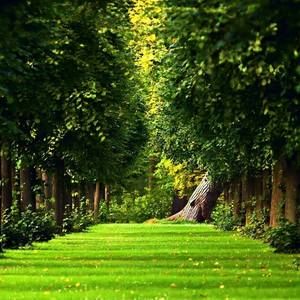 Meet your Posher, Angel