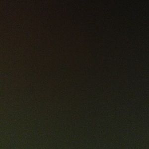 Meet your Posher, Elli