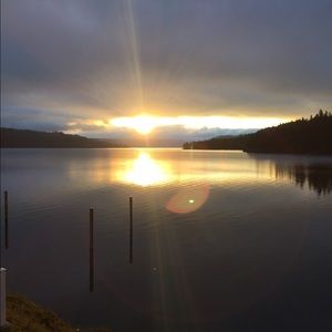 Meet your Posher, Gavin