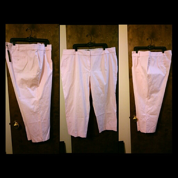 Talbot's NWT Light Pink/Blush Slacks Size 22W