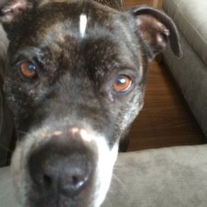 Meet your Posher, Natalia