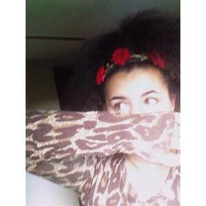 Meet your Posher, Tayler