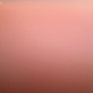 Meet your Posher, Jada