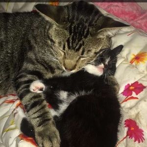 Meet your Posher, Katie