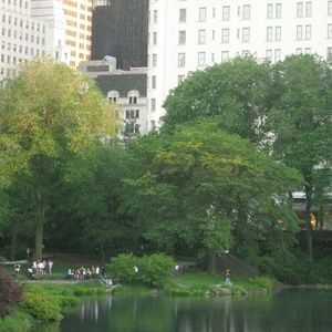 Meet your Posher, Natasha