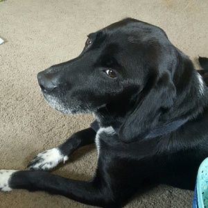 Meet your Posher, Marie