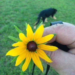 Meet your Posher, Jamie