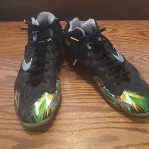 Lebron 11 Everglades