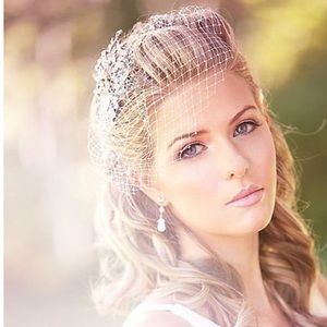 Gorgeous Ivory Birdcage Veil w/scattered crystals