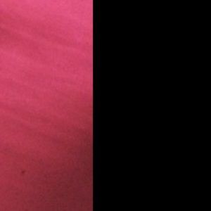 Meet your Posher, Rosie