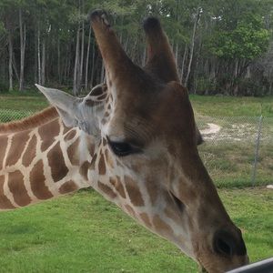 Meet your Posher, Mory