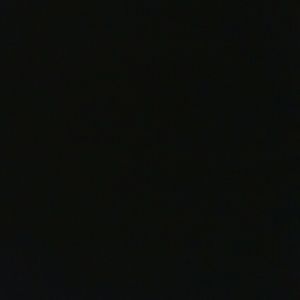 Meet your Posher, Tasha