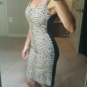 Diane Von Furstenberg Animal Print Fitted Dress