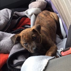 Meet your Posher, Heather