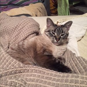 Meet your Posher, Lauren