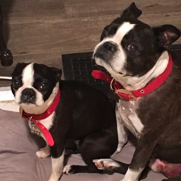 Meet your Posher, Katherine - Picture 2 of 2