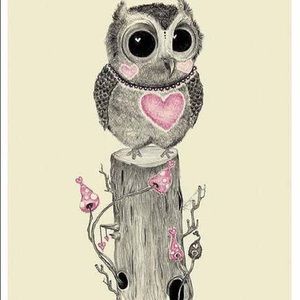 Meet your Posher, Allie