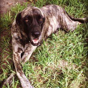 Meet your Posher, Denia