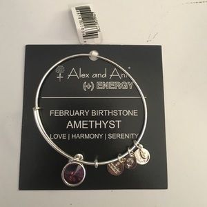 February Birthstone Alex and Ani Silver Bracelet