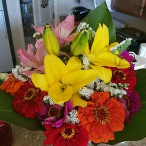 Meet your Posher, Lynne