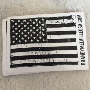 Brandy Melville flag sticker