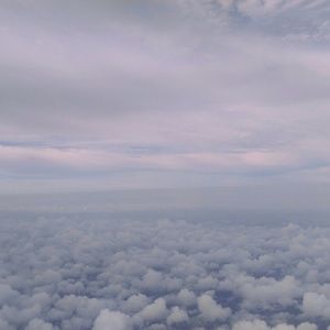 Meet your Posher, Millie