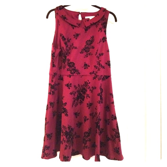 Lauren Conrad collared dress