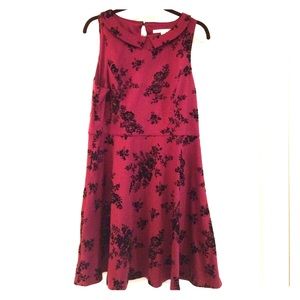 Lauren Conrad collared dress