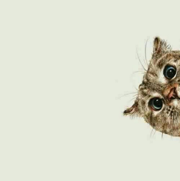 LimeCrime for @shibedino 💋