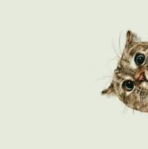 LimeCrime for @shibedino 💋